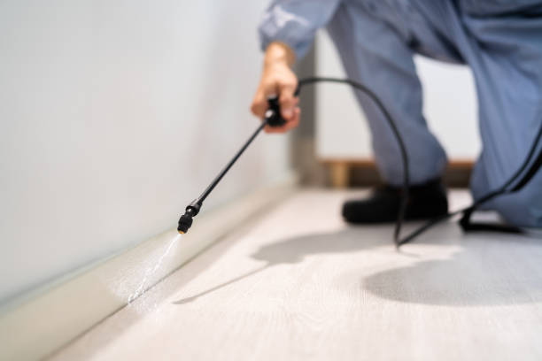 Licensed Termite Control service in Tangipahoa Parish County, LA - Nex Pest Control
